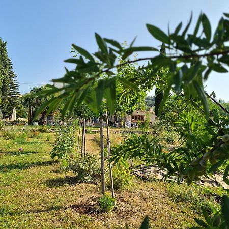 La Ferme Constantin Villa Fayence Exteriör bild