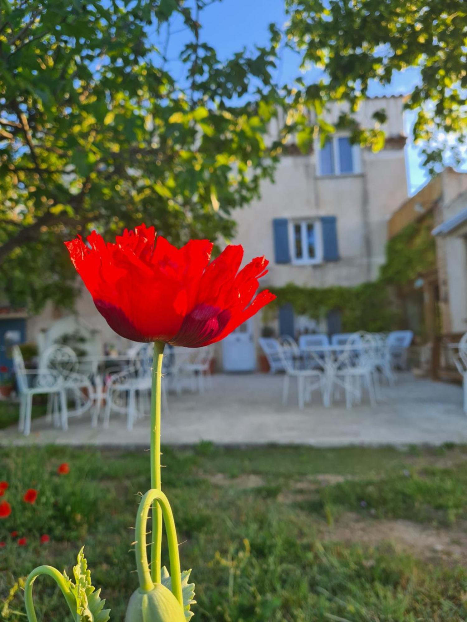La Ferme Constantin Villa Fayence Rum bild