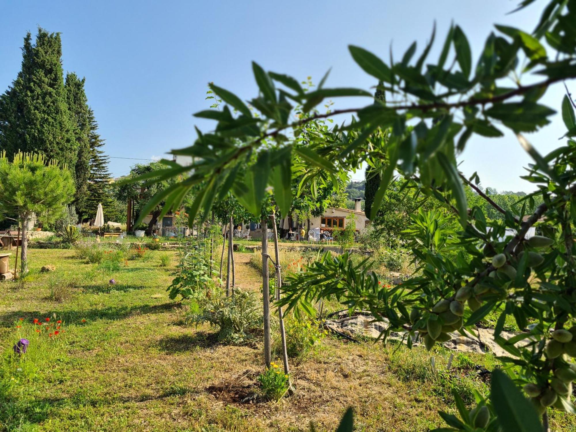 La Ferme Constantin Villa Fayence Exteriör bild